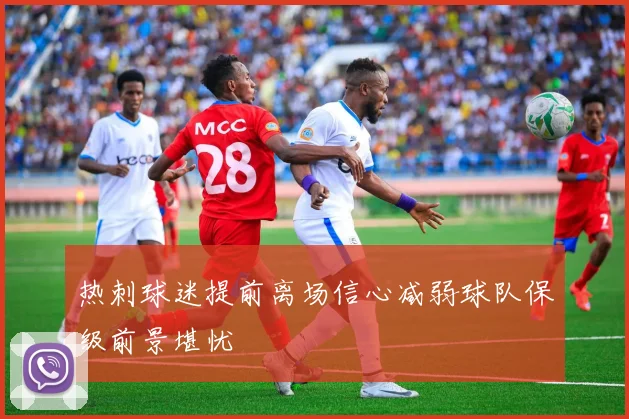 热刺球迷提前离场信心减弱球队保级前景堪忧